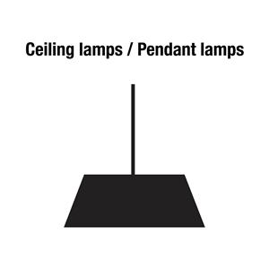 Bright Light indoor 2023